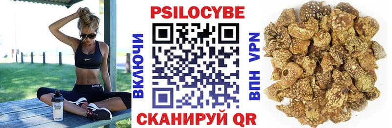 Псилоцибиновые грибы Cubensis  кракен зеркало  Невельск  купить наркотики сайты 